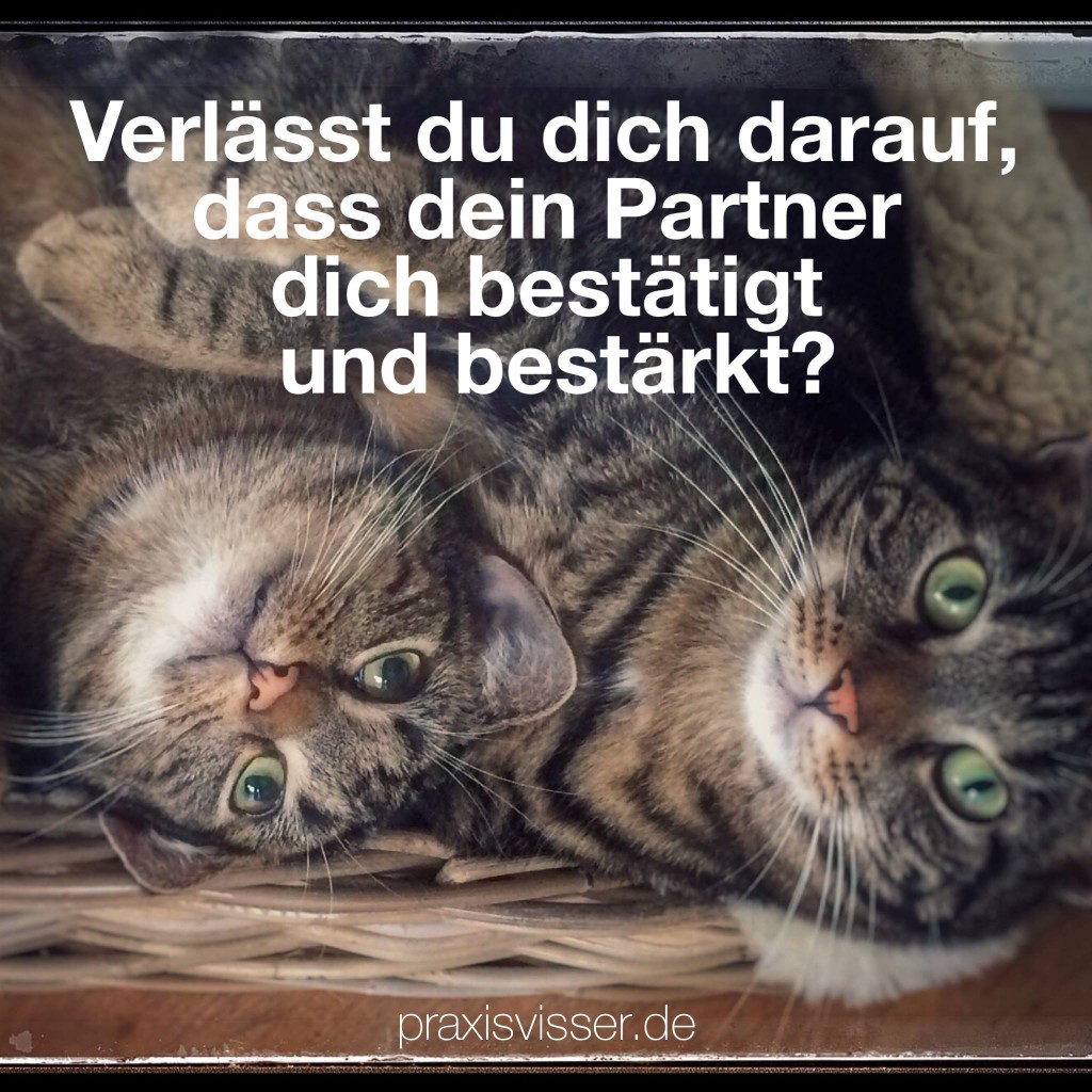 Partner und Partnerschaftsprobleme