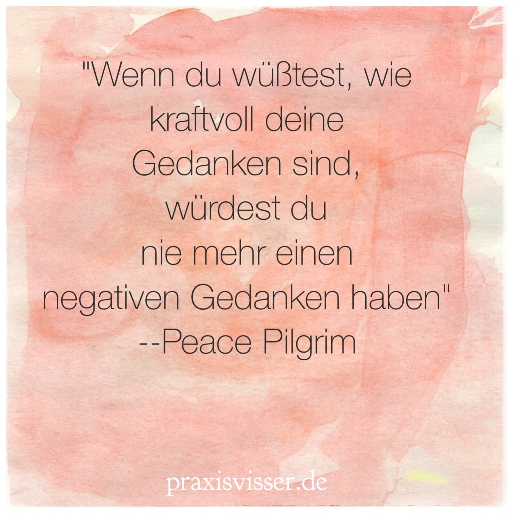 praxisvisser_de_pilgrim
